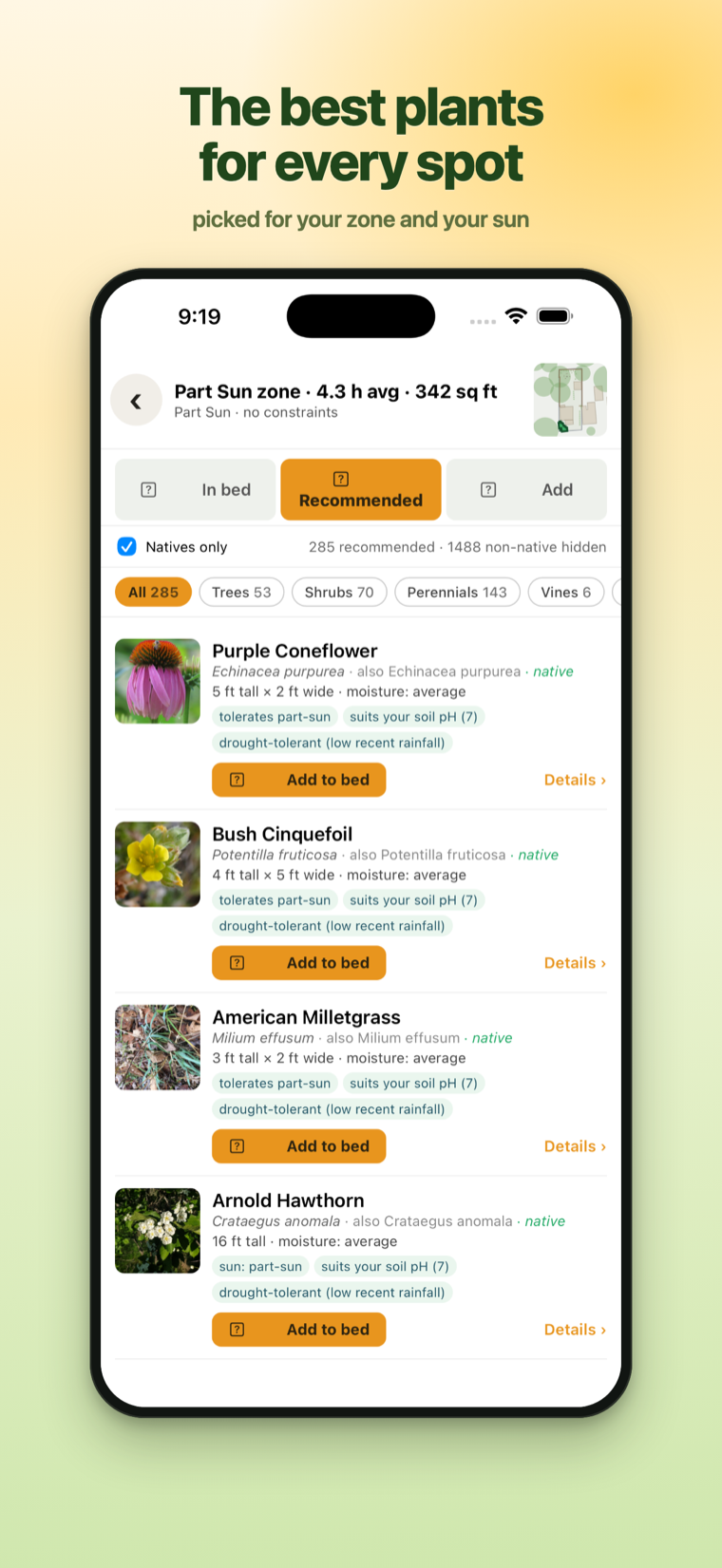 Plant picks recommended for a part-sun zone